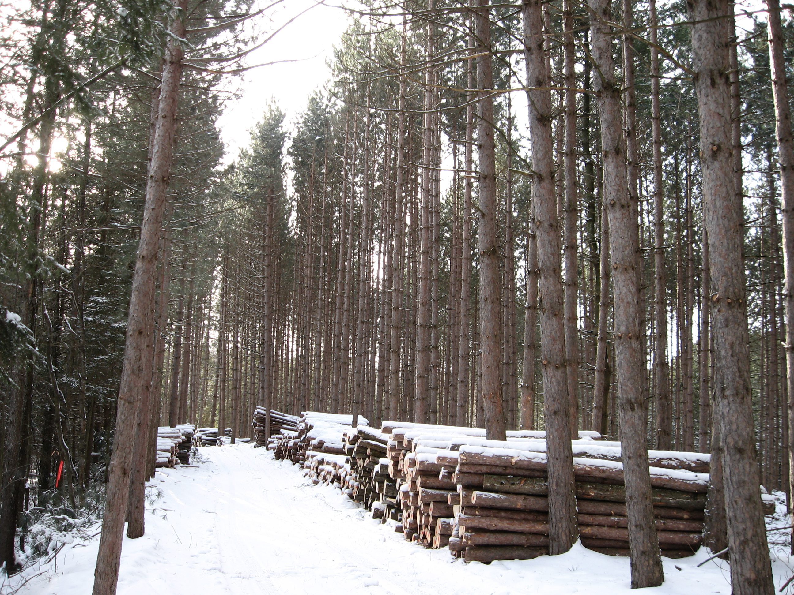 spb-estrie_hiver